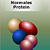 proteinsynthese