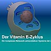 vitaminE