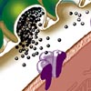 Neurotransmitter